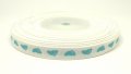 Printed Ribbon - 3/8 - CS18 - Baby Foot Blue